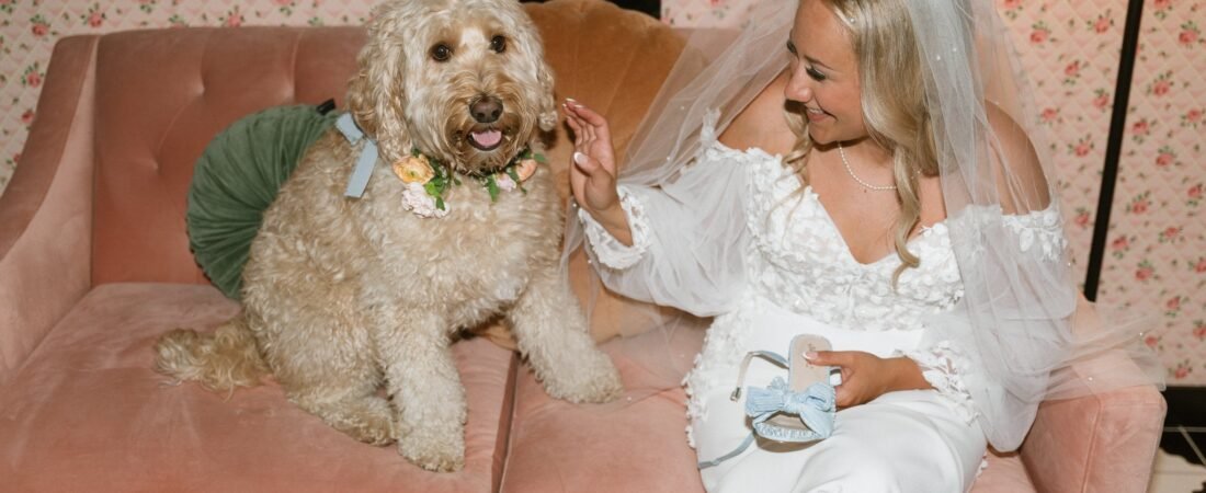 How to Include Your Dog in Your Wedding Day